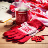 Set di guanti e tazza COPITO SET - immagine 17
