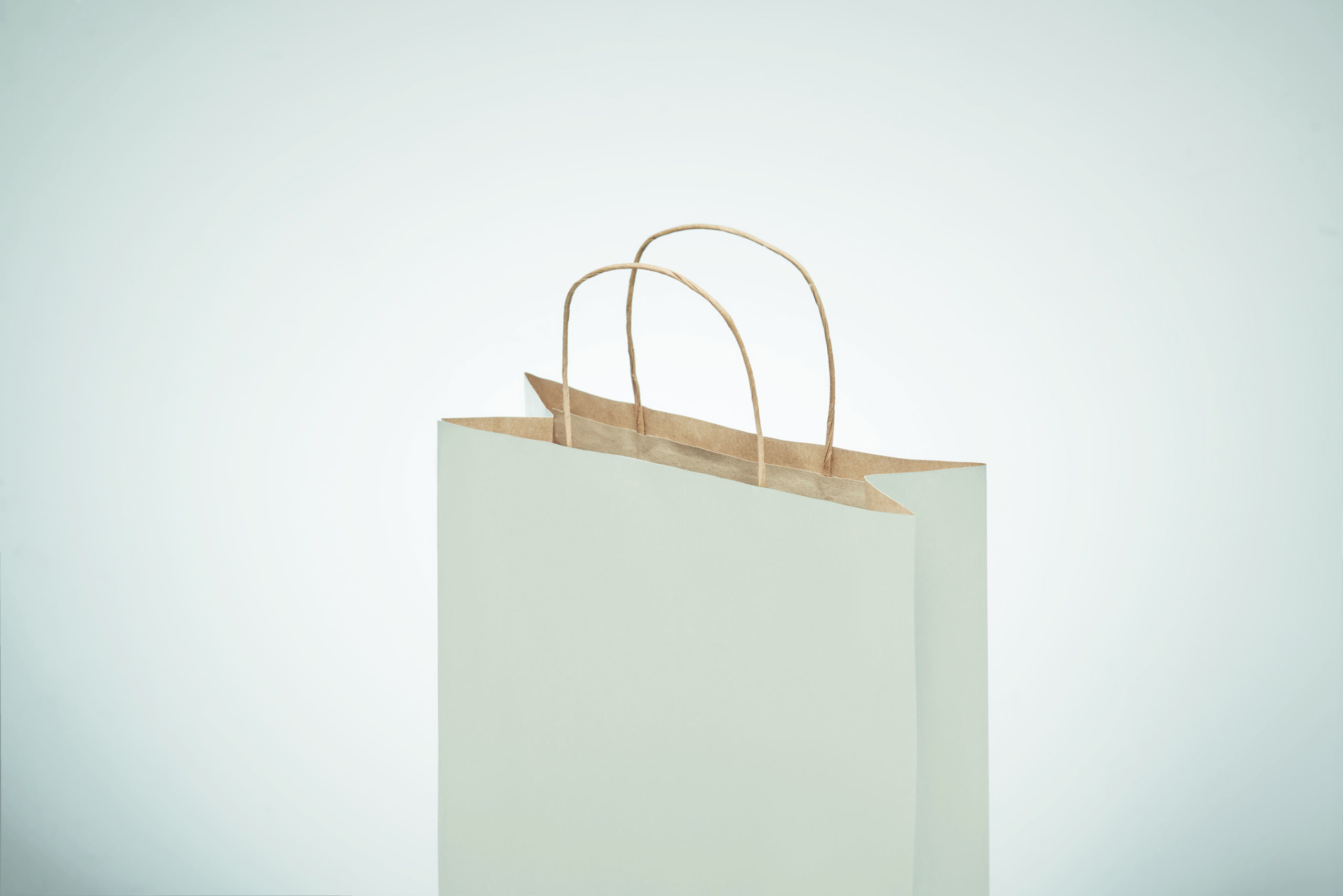 Sacchetti Regalo Piccoli in Carta - immagine 56
