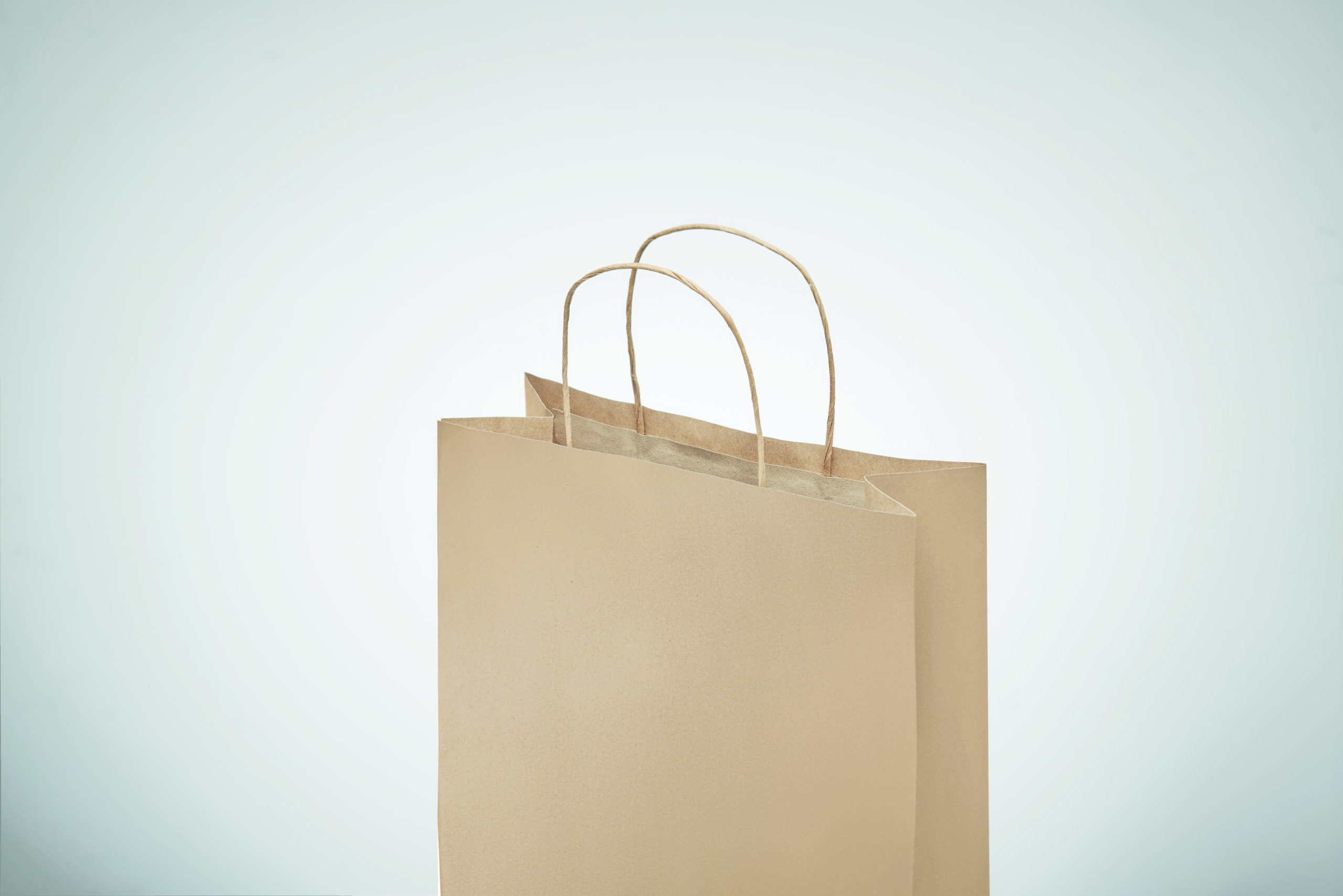 Sacchetti Regalo Piccoli in Carta - immagine 66