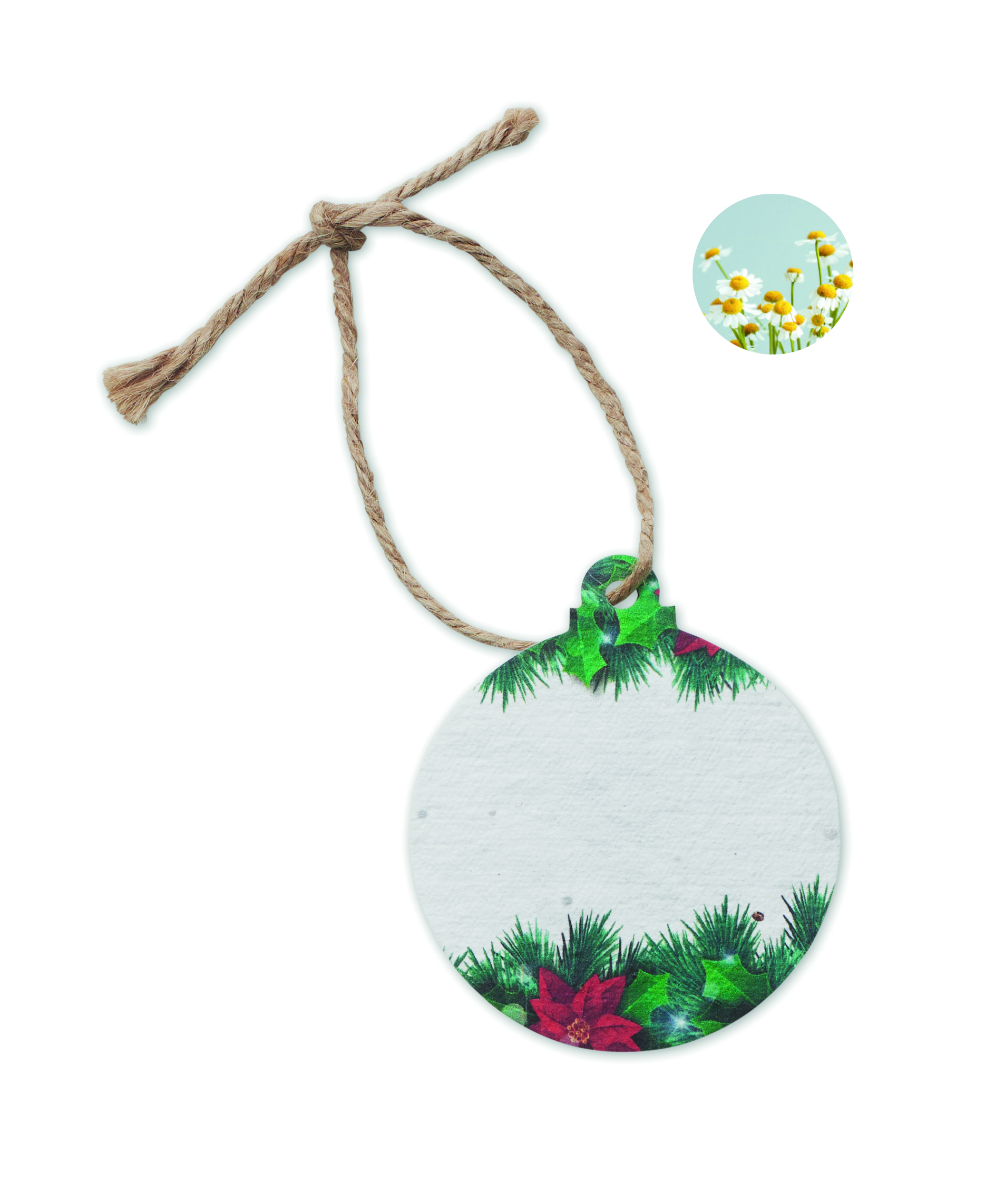 Decorazione Rotonda in Carta con Semi BAUSEED - immagine 6