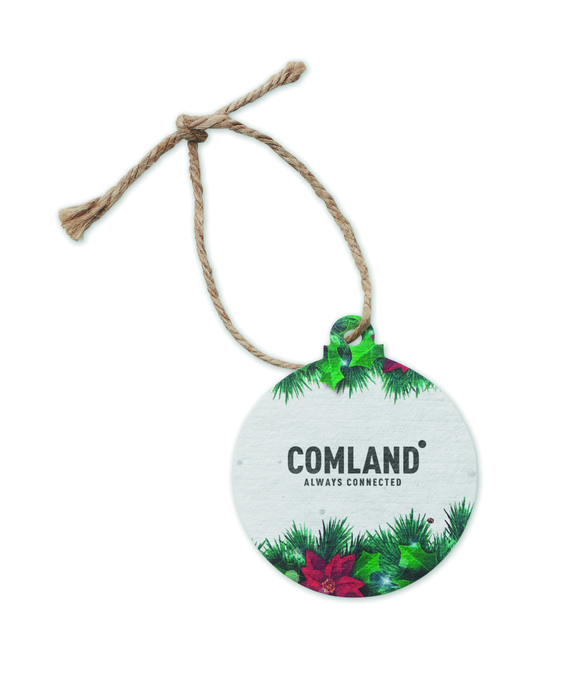 Decorazione Rotonda in Carta con Semi BAUSEED - immagine 9