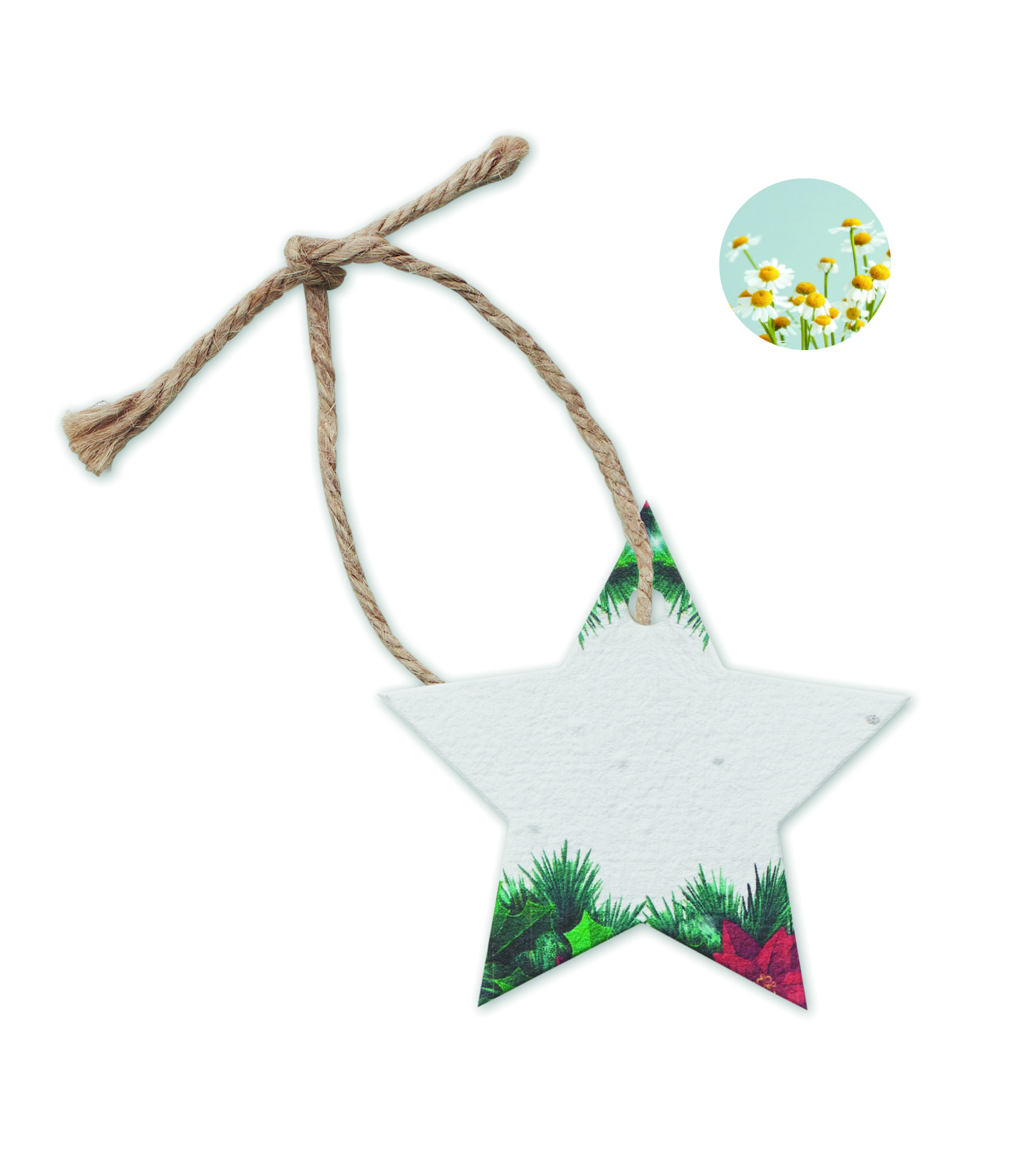 Decorazione Natalizia in Carta e Semi STARSEED - immagine 5