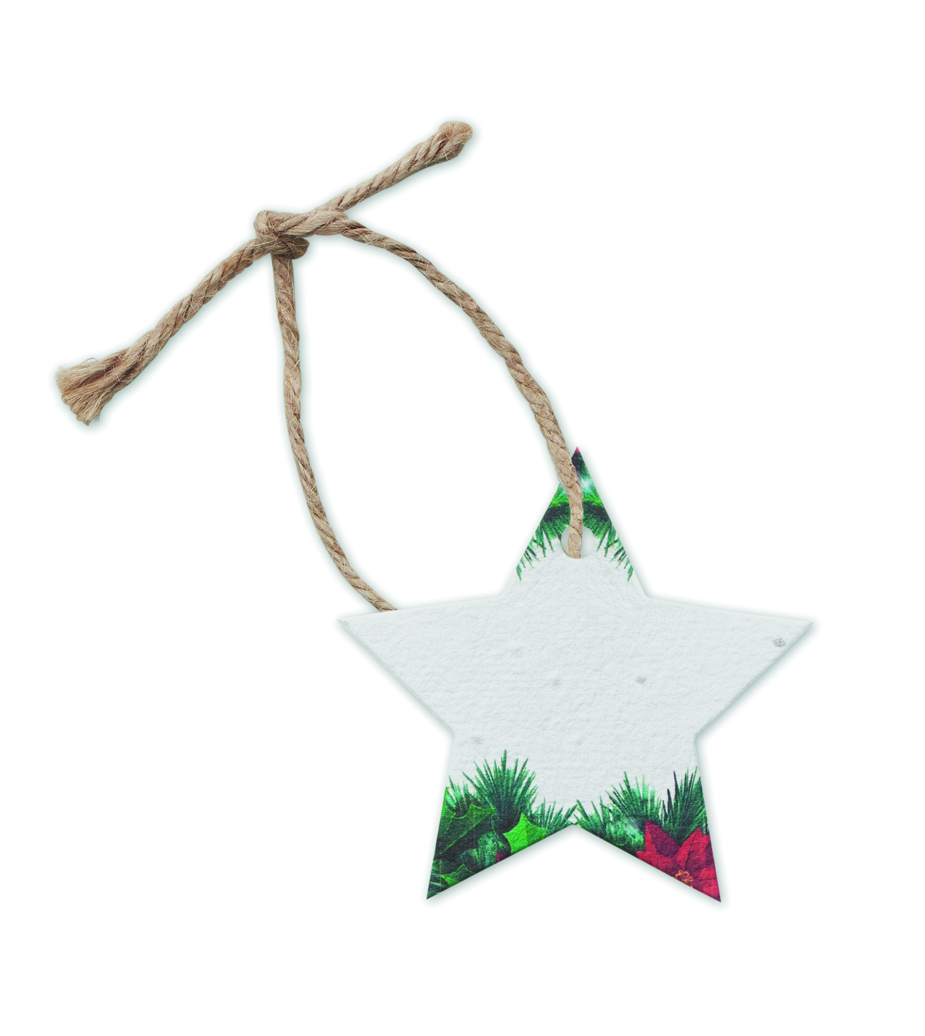 Decorazione Natalizia in Carta e Semi STARSEED - immagine 6