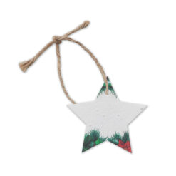 Alternative view of Decorazione Natalizia in Carta e Semi STARSEED