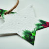 Decorazione Natalizia in Carta e Semi STARSEED - immagine 8