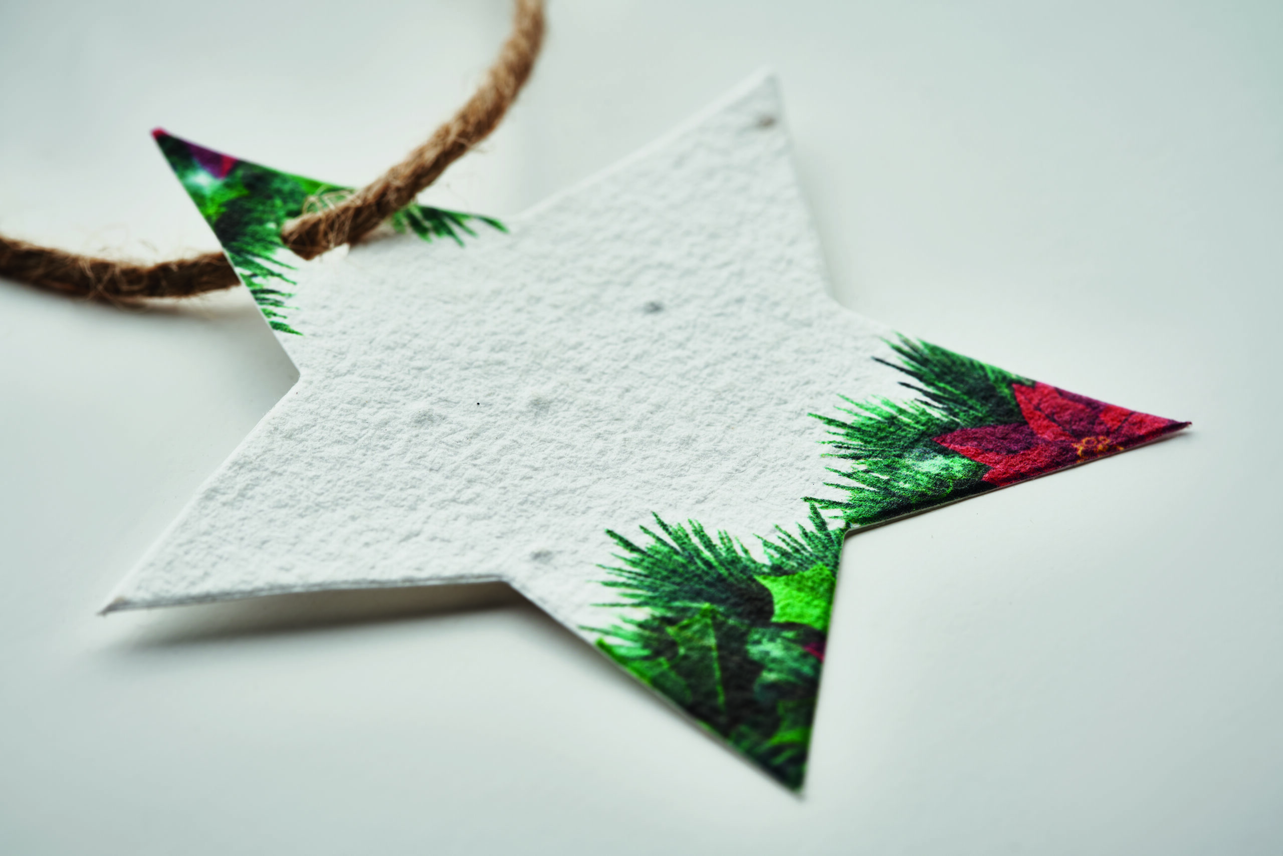 Decorazione Natalizia in Carta e Semi STARSEED - immagine 8