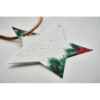 Decorazione Natalizia in Carta e Semi STARSEED - immagine 4
