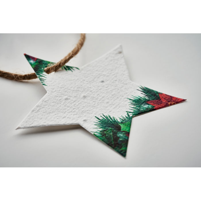 Decorazione Natalizia in Carta e Semi STARSEED - immagine 4