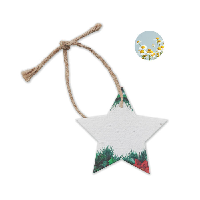 Decorazione Natalizia in Carta e Semi STARSEED
