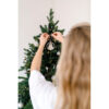 Decorazione a Forma di Albero e Semi ARSEED - immagine 6