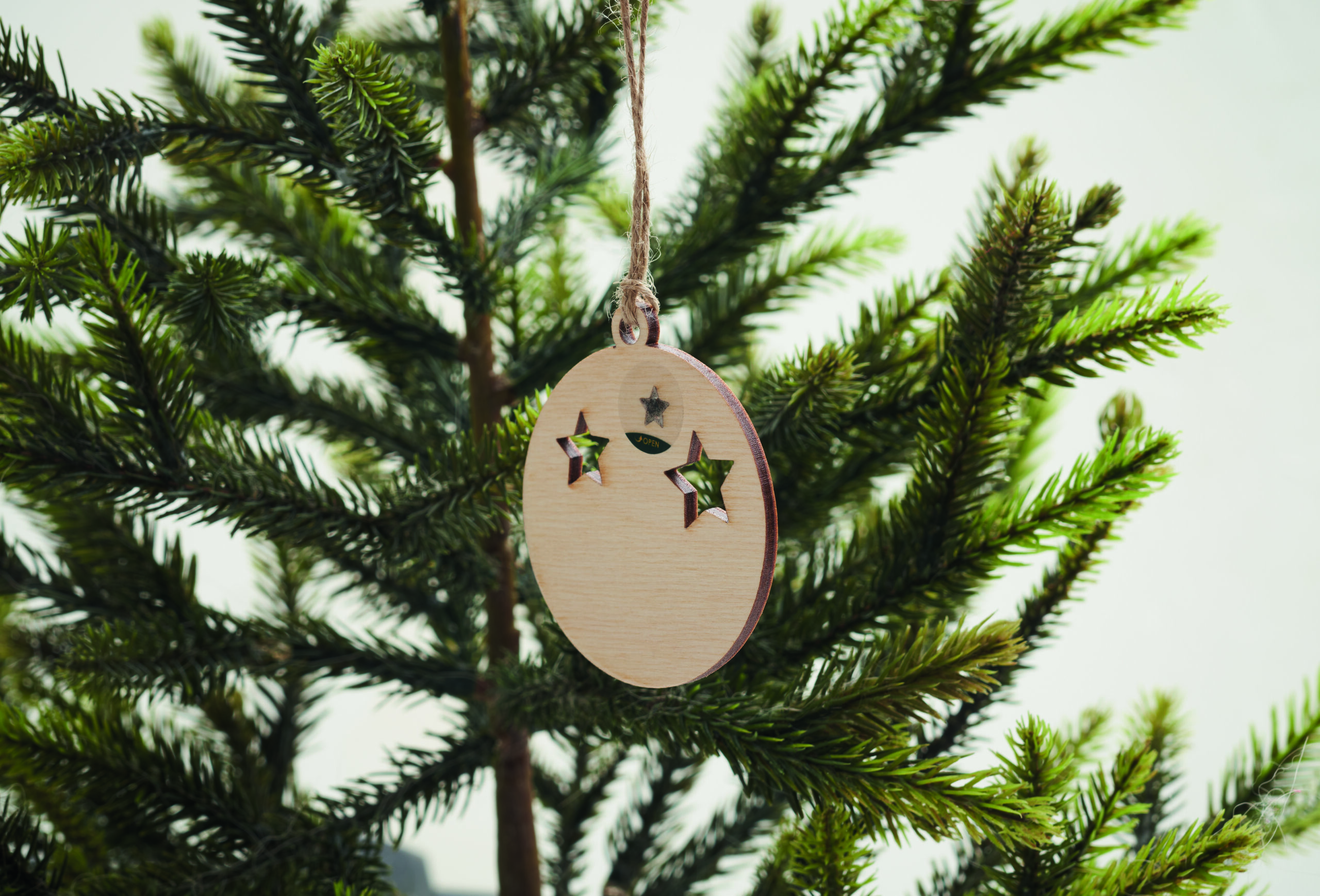 Decorazione in Legno a Forma di Palla e Semi ROSEED - immagine 13
