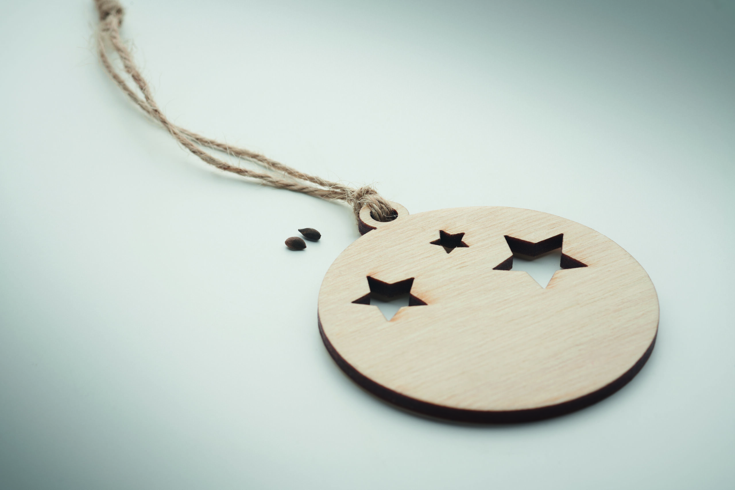 Decorazione in Legno a Forma di Palla e Semi ROSEED - immagine 14