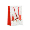 Sacchetto Regalo Natalizio BOSSA MEDIUM - immagine 7