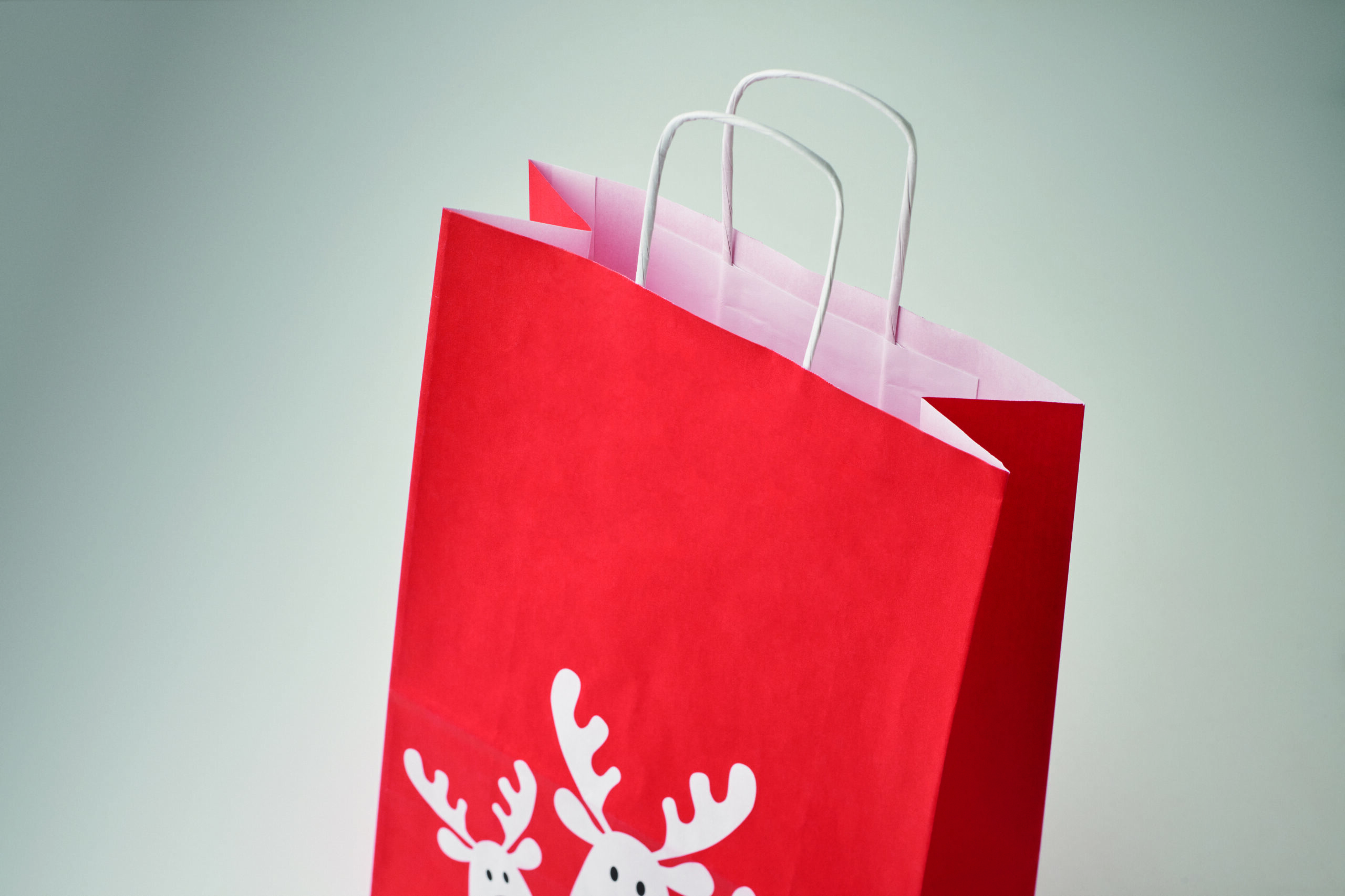 Sacchetto Regalo Natalizio in Carta BAO SMALL - immagine 13