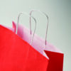 Sacchetto Regalo Natalizio in Carta BAO SMALL - immagine 14