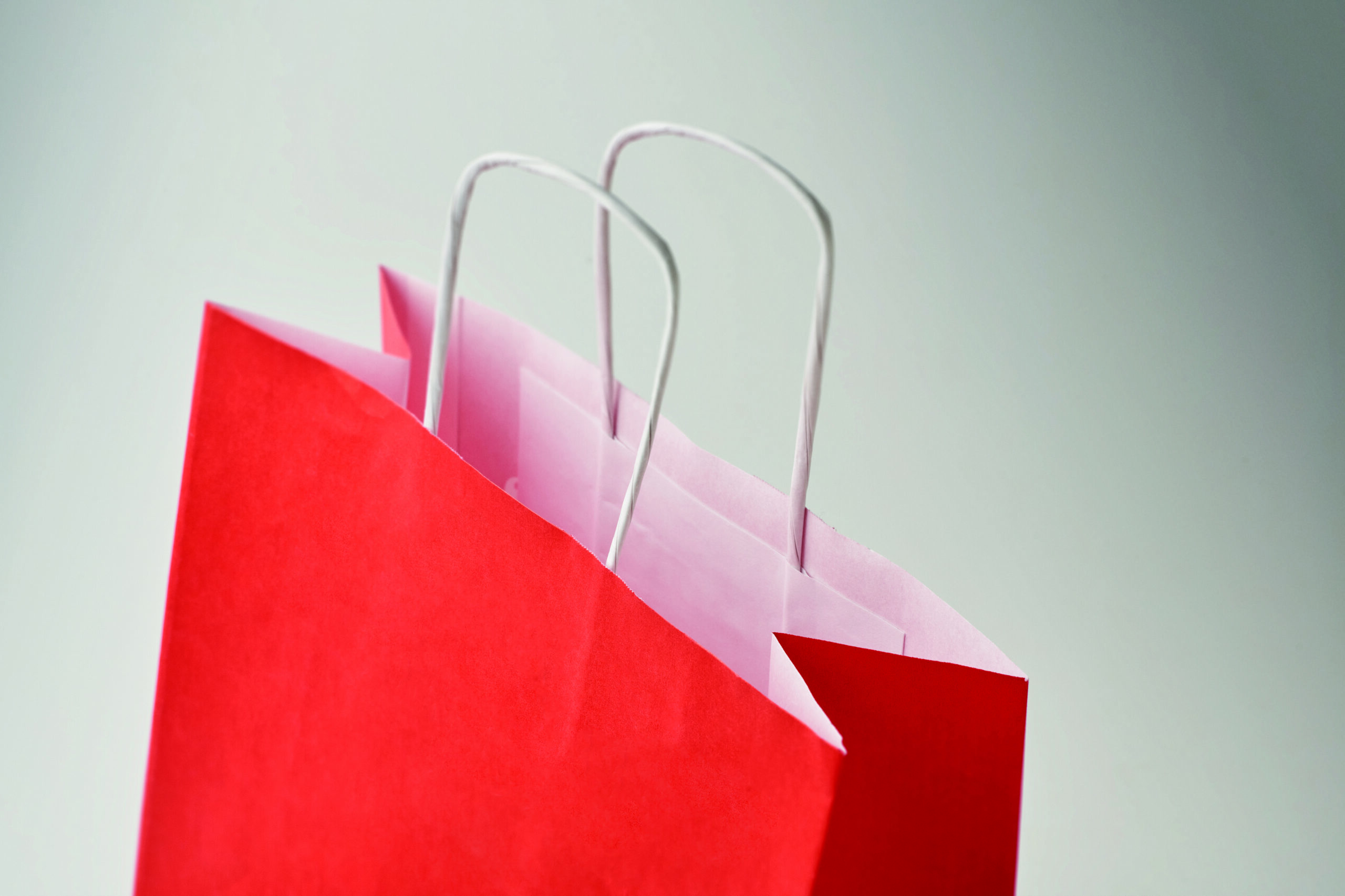 Sacchetto Regalo Natalizio in Carta BAO SMALL - immagine 14