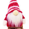 Gnomo su Slitta di Legno FROSTY SLEIGH - immagine 14