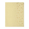 Set di 12 Tealight alla Cannella RADIANT - immagine 14