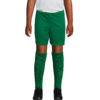 Pantaloncini Sportivi Bambino SAN SIRO KIDS 2 - immagine 15
