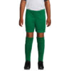 Pantaloncini Sportivi Bambino SAN SIRO KIDS 2 - immagine 6