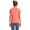 T-Shirt Donna in Cotone Biologico CRUSADER WOMEN - immagine 85