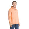 Felpa con Cappuccio Unisex CONSTELLATION - immagine 23