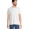 T-Shirt Scollo a V in Cotone Ringspun REGENT V - immagine 31