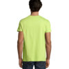 T-Shirt Uomo Girocollo in Cotone Ringspun IMPERIAL - immagine 172