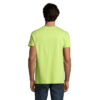 T-Shirt Uomo Girocollo in Cotone Ringspun IMPERIAL - immagine 2