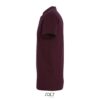 T-Shirt Uomo Girocollo in Cotone Ringspun IMPERIAL - immagine 191