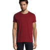 T-Shirt Uomo Girocollo in Cotone Ringspun IMPERIAL - immagine 204