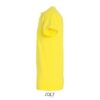 T-Shirt Uomo Girocollo in Cotone Ringspun IMPERIAL - immagine 261