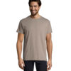 T-Shirt Uomo Girocollo in Cotone Ringspun IMPERIAL - immagine 262