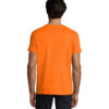 T-Shirt Uomo Girocollo in Cotone Ringspun IMPERIAL - immagine 278