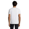 T-Shirt Uomo Girocollo in Cotone Ringspun IMPERIAL - immagine 144